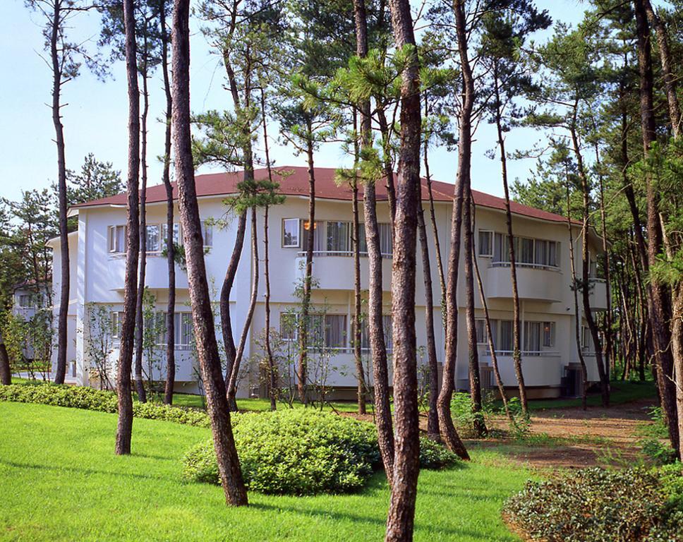 Cottage Himuka Miyazaki Phòng bức ảnh