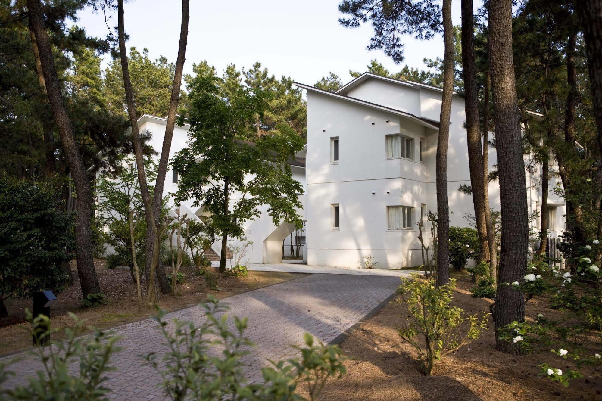 Cottage Himuka Miyazaki Ngoại thất bức ảnh